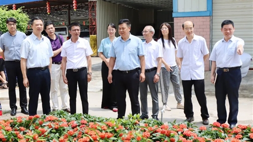 自治區(qū)政協(xié)常委、梧州市政協(xié)主席黃振饒蒞臨百裕集團(tuán)走訪調(diào)研